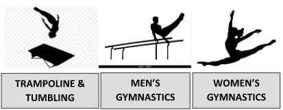 Competitive Teams for Women and Men, Tumbling and Trampoline
